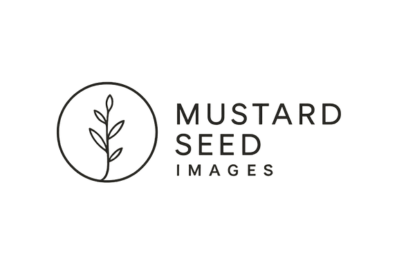 MustardSeedImages